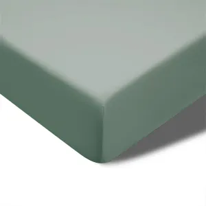 400TC Sage Bamboo Cotton Fitted Sheet | 40cm Wall | Queen